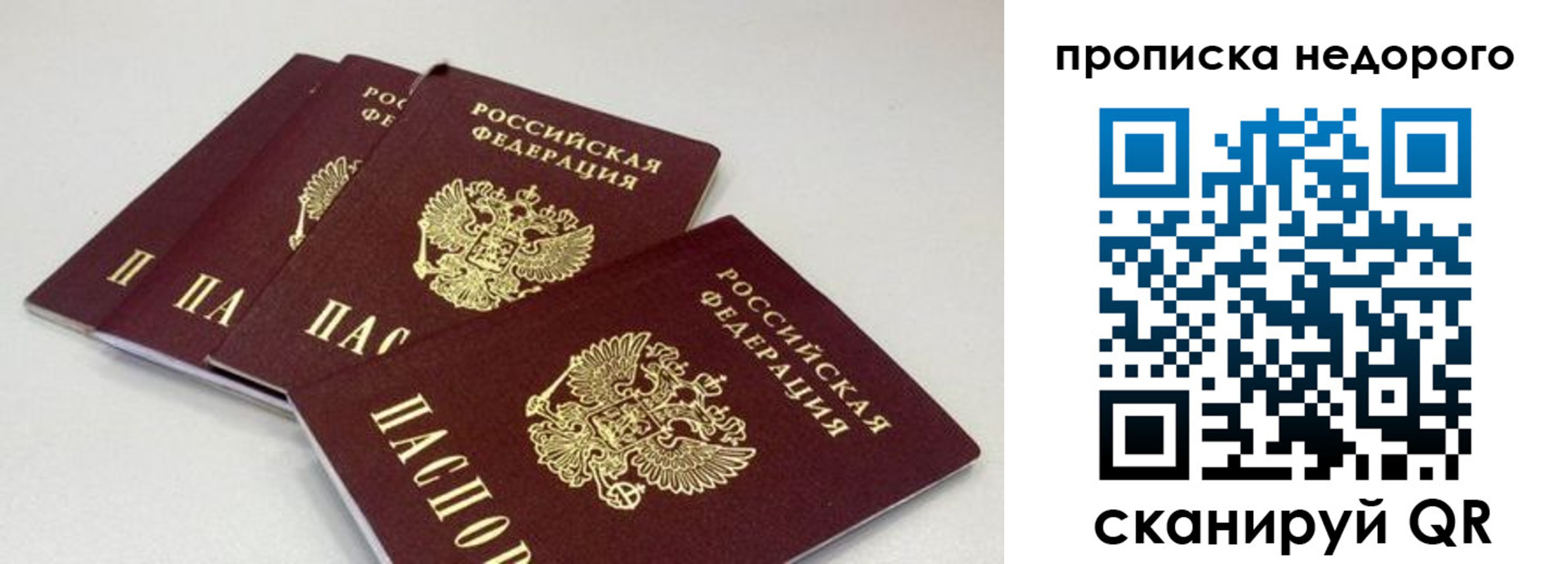 прописка штамп в Истре